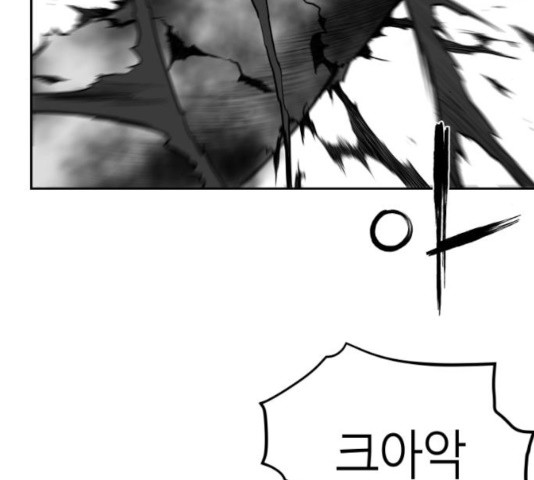 1639962106084ej2nbo906er.jpeg