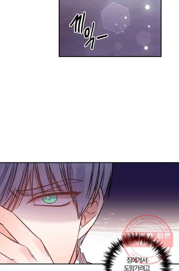 1638670811528fzvjwn2ymmq.jpeg