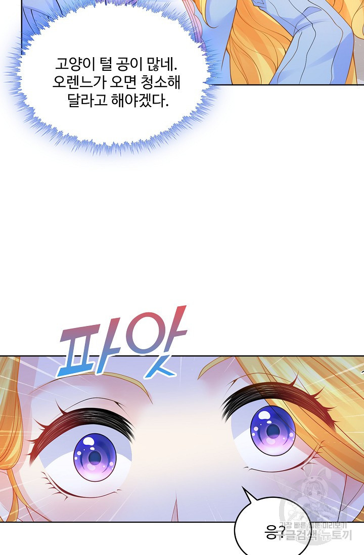 16657920725423qy3pne14ka.jpeg