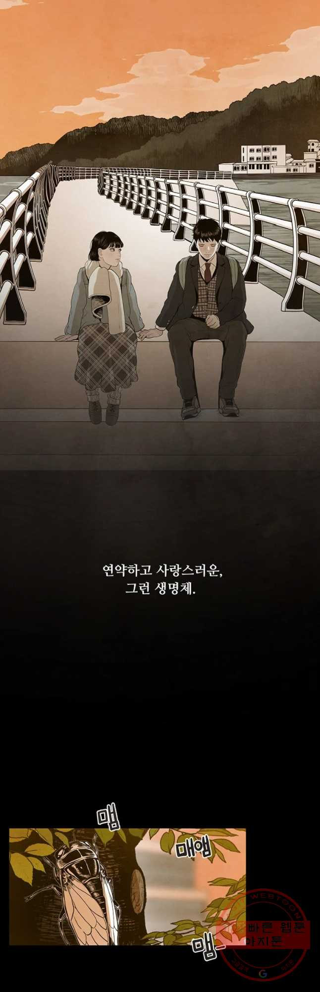 164791671187274vn03bagy.jpeg
