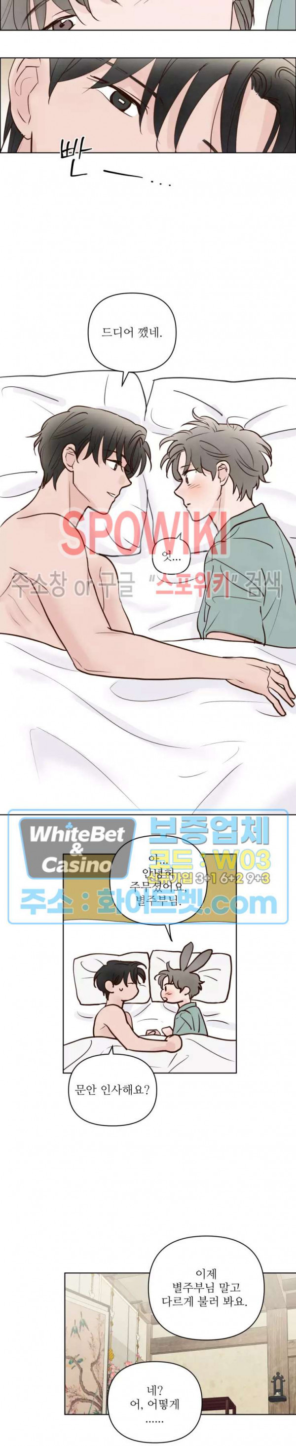 1661126925475b412rm66dl.jpg