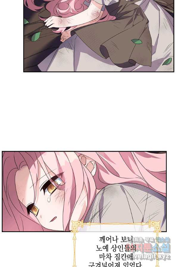 166291583018293jkrv2erbr.jpeg