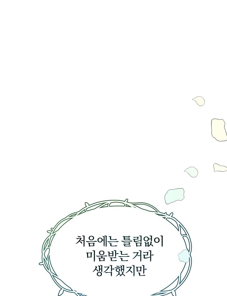 17249673144909x8ql4pljp.jpg