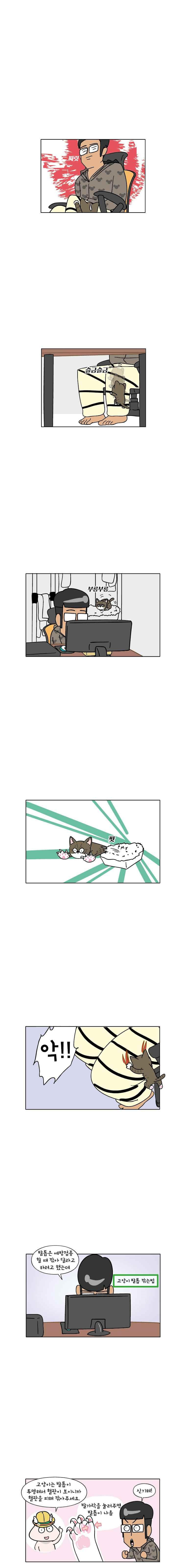 15654093091656.jpeg