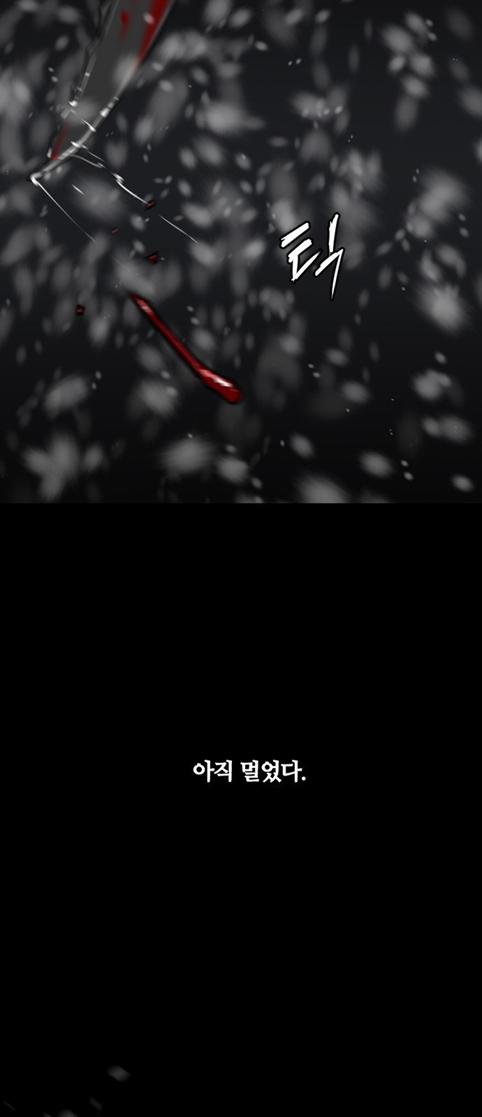 15661175186446.jpeg
