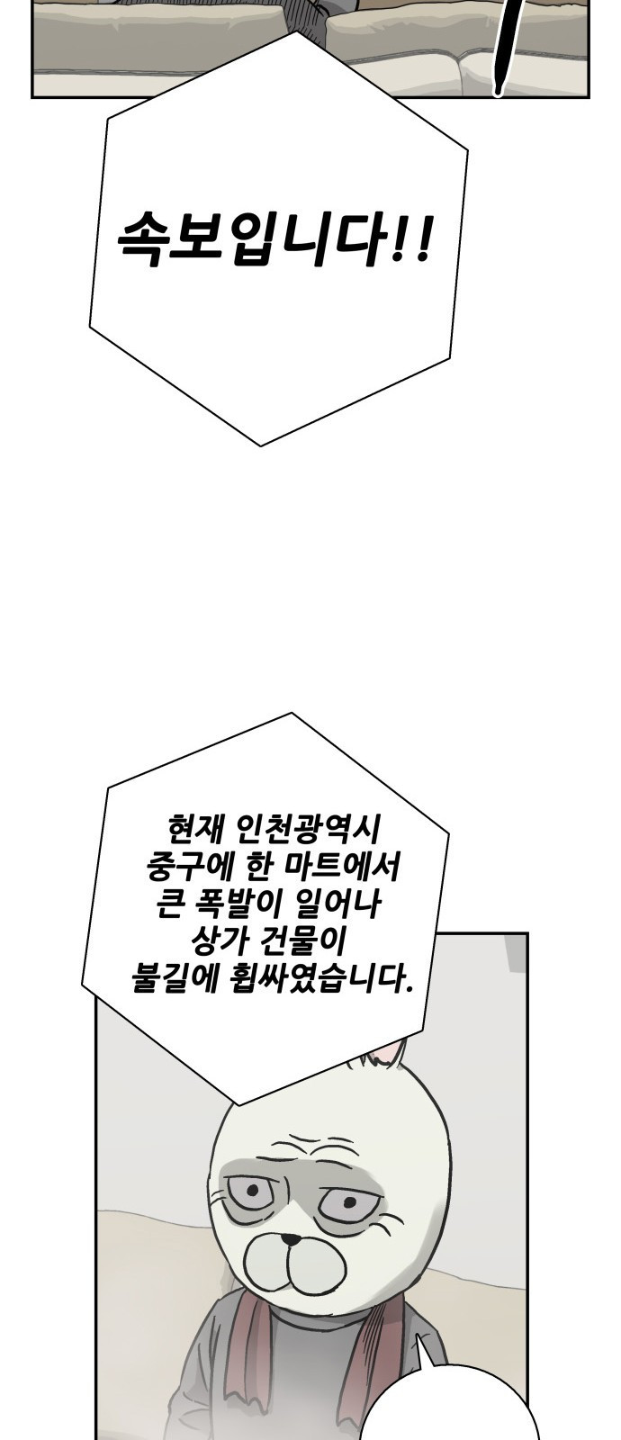 15662425518627.jpeg